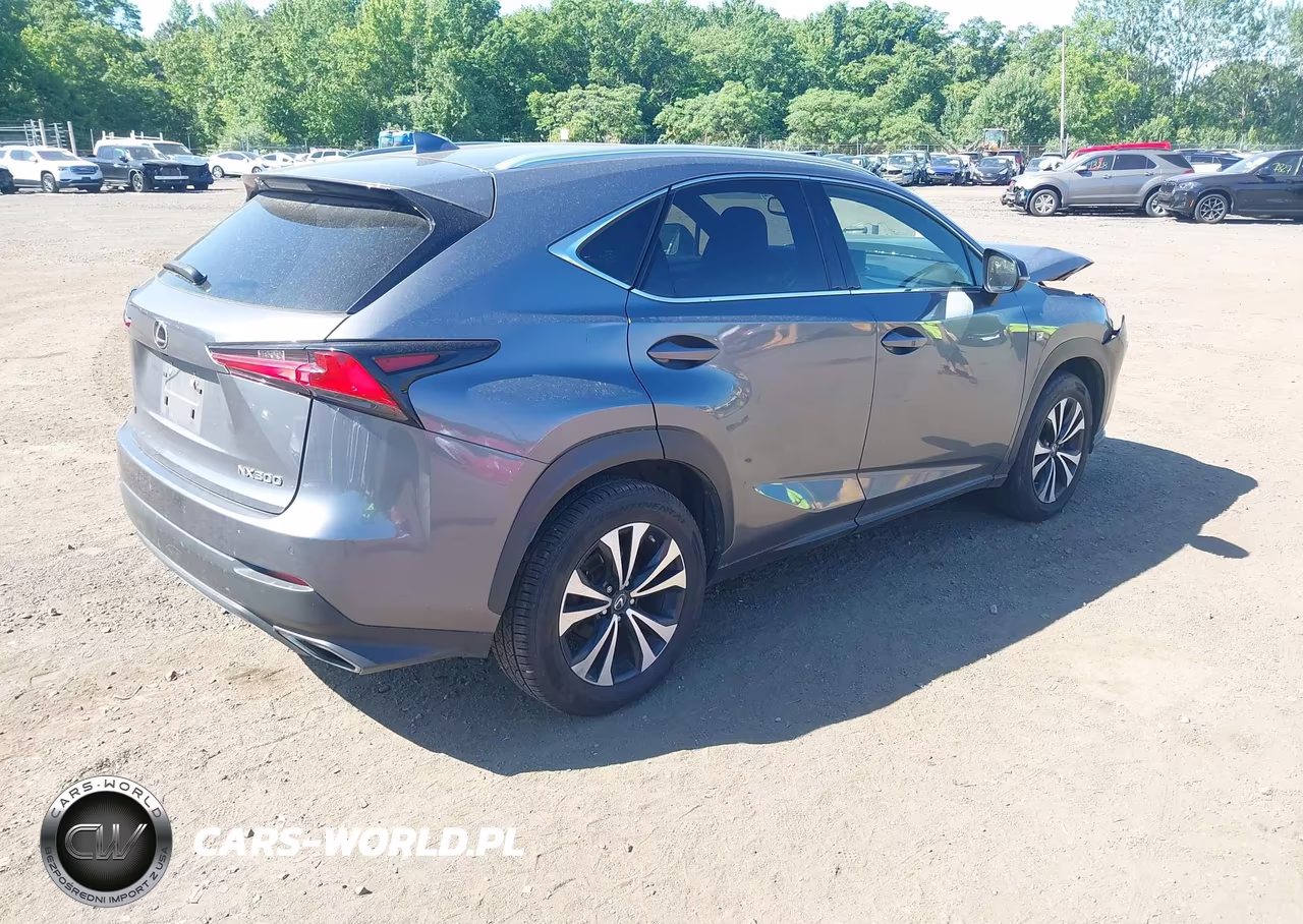2021 Lexus Nx Nx 300 F Sport VIN:JTJSARDZ7M2261152 - 4
