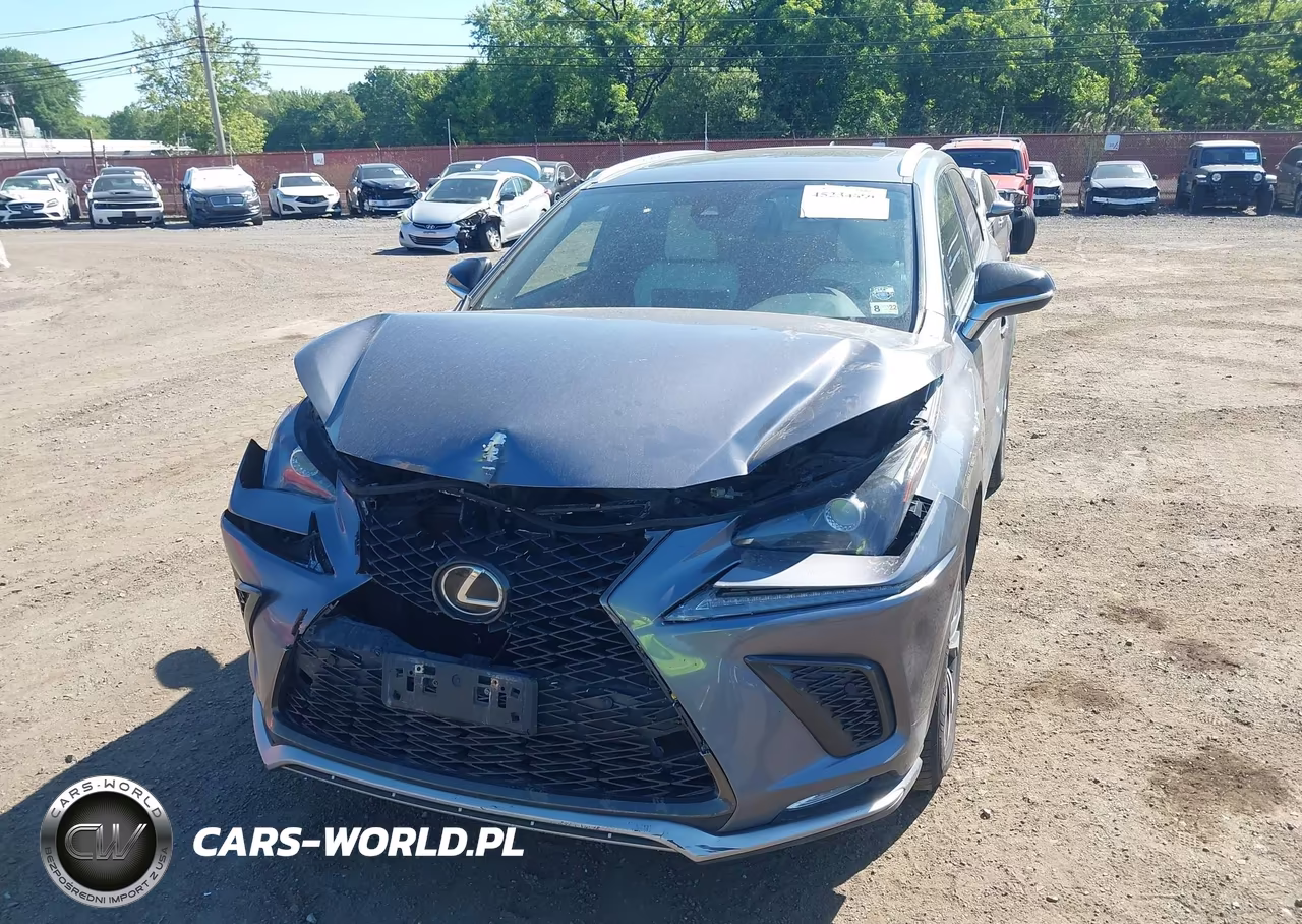 2021 Lexus Nx Nx 300 F Sport VIN:JTJSARDZ7M2261152 - 6