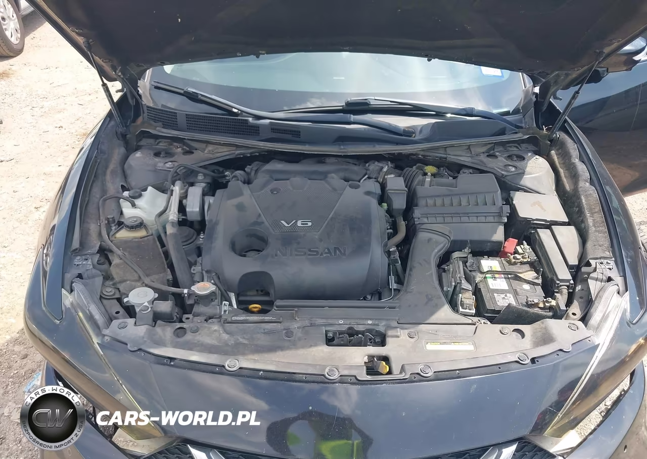 2017 Nissan Maxima 3.5 Platinum VIN:1N4AA6AP6HC454172 - 10