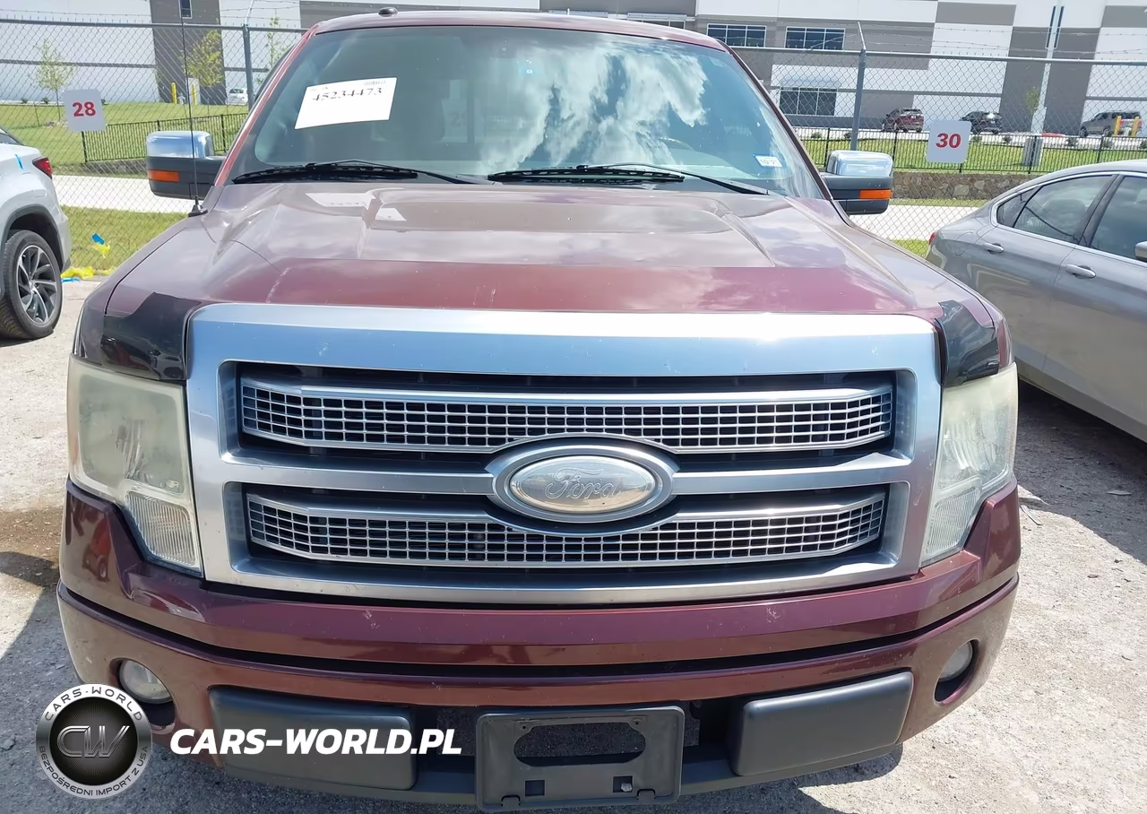 2009 Ford F-150 Platinum VIN:1FTPW12V09FA40682 - 11