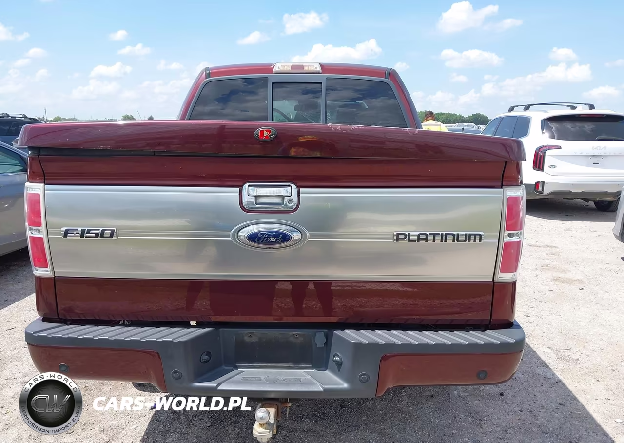 2009 Ford F-150 Platinum VIN:1FTPW12V09FA40682 - 13