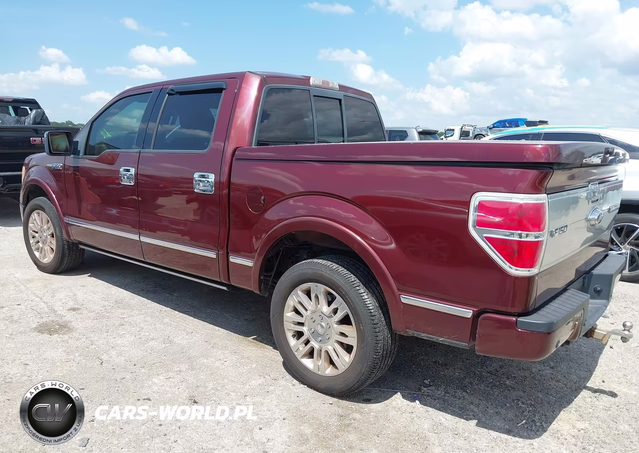 2009 Ford F-150 Platinum VIN:1FTPW12V09FA40682 - 2