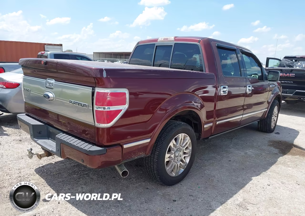 2009 Ford F-150 Platinum VIN:1FTPW12V09FA40682 - 3