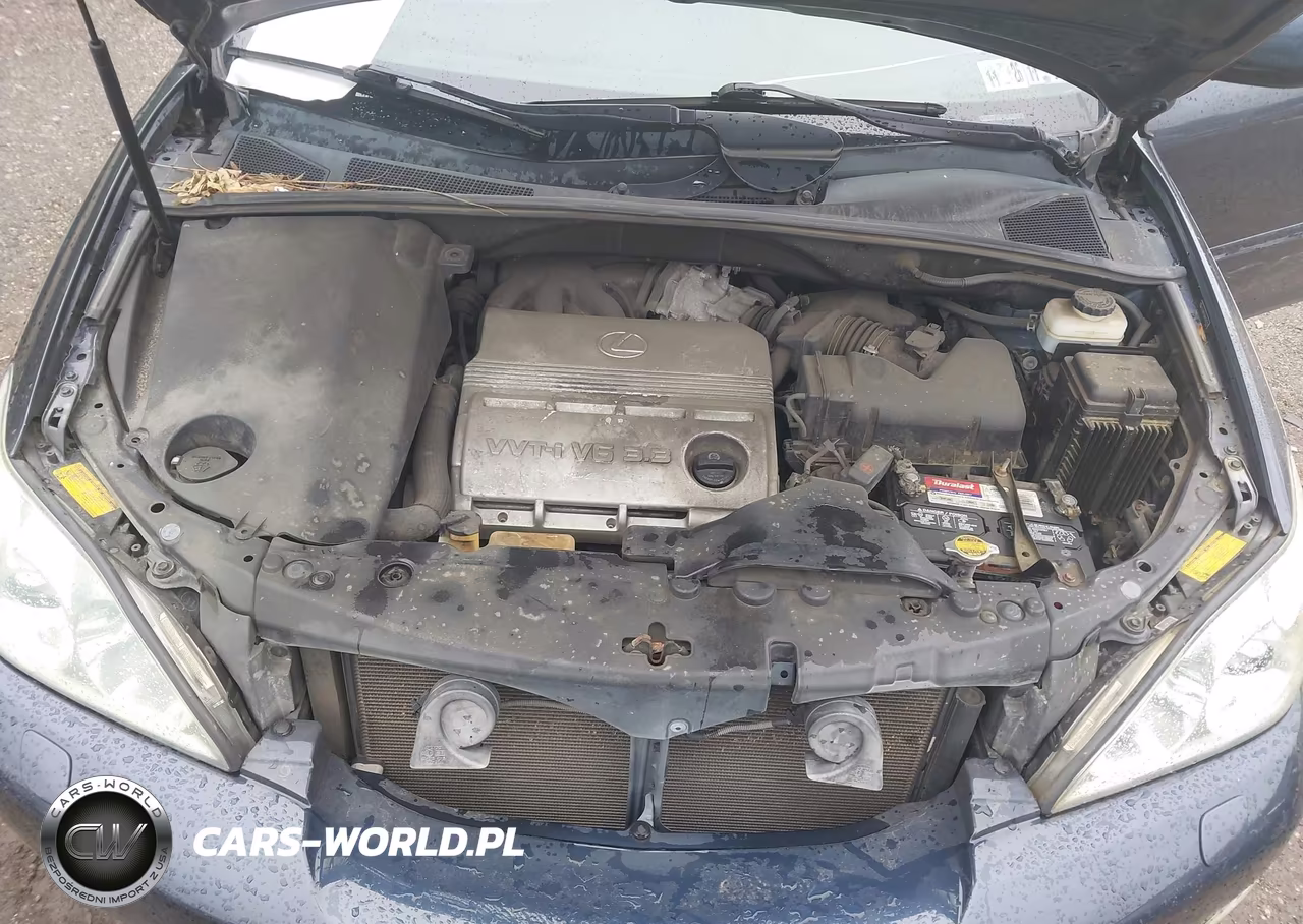 2004 Lexus Rx 330 VIN:2T2HA31U84C025111 - 10