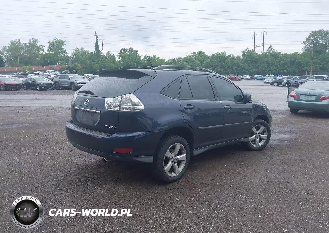 2004 Lexus Rx 330 VIN:2T2HA31U84C025111 - 4