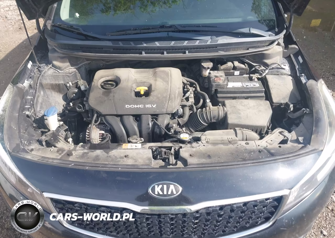 2017 Kia Forte Lx VIN:3KPFK4A7XHE158341 - 10
