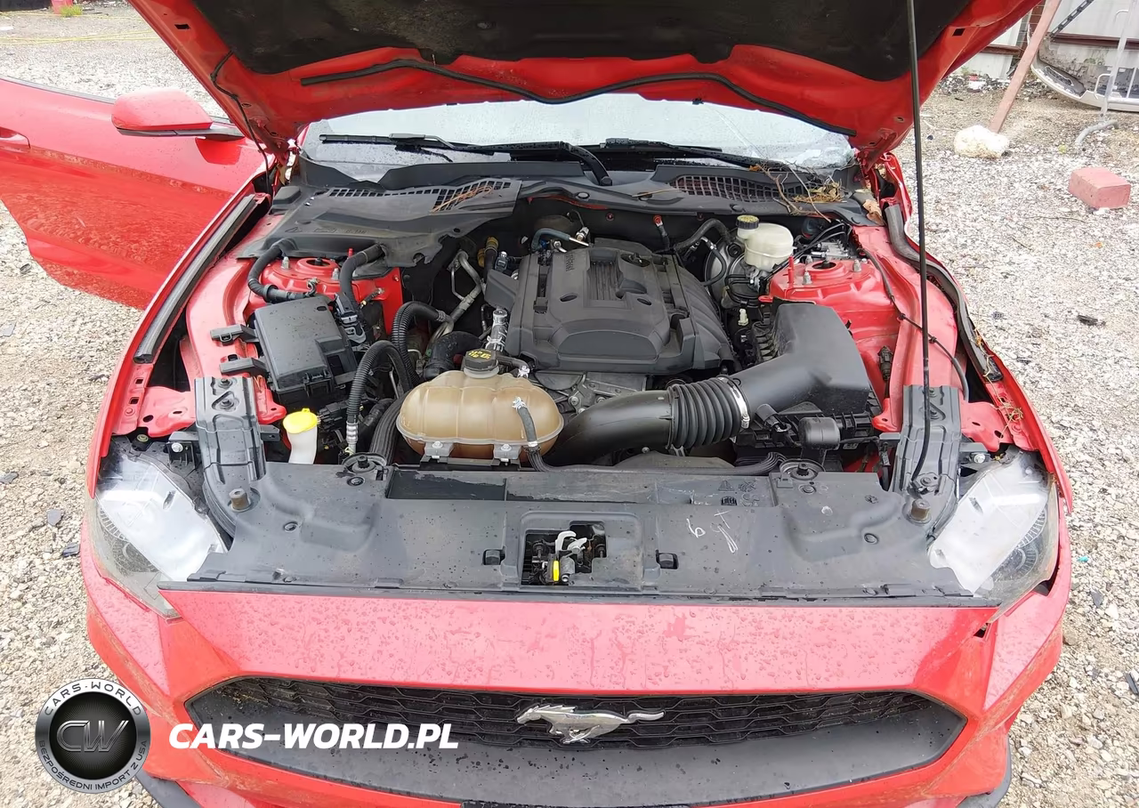 2018 Ford Mustang Ecoboost VIN:1FA6P8TH4J5113840 - 10