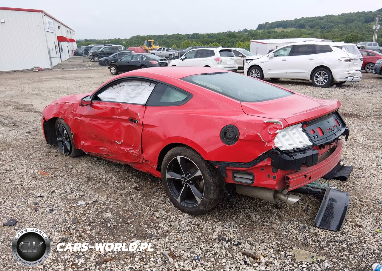 2018 Ford Mustang Ecoboost VIN:1FA6P8TH4J5113840 - 3