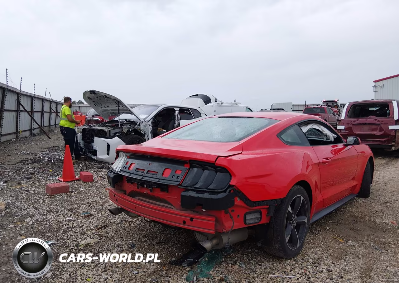 2018 Ford Mustang Ecoboost VIN:1FA6P8TH4J5113840 - 6