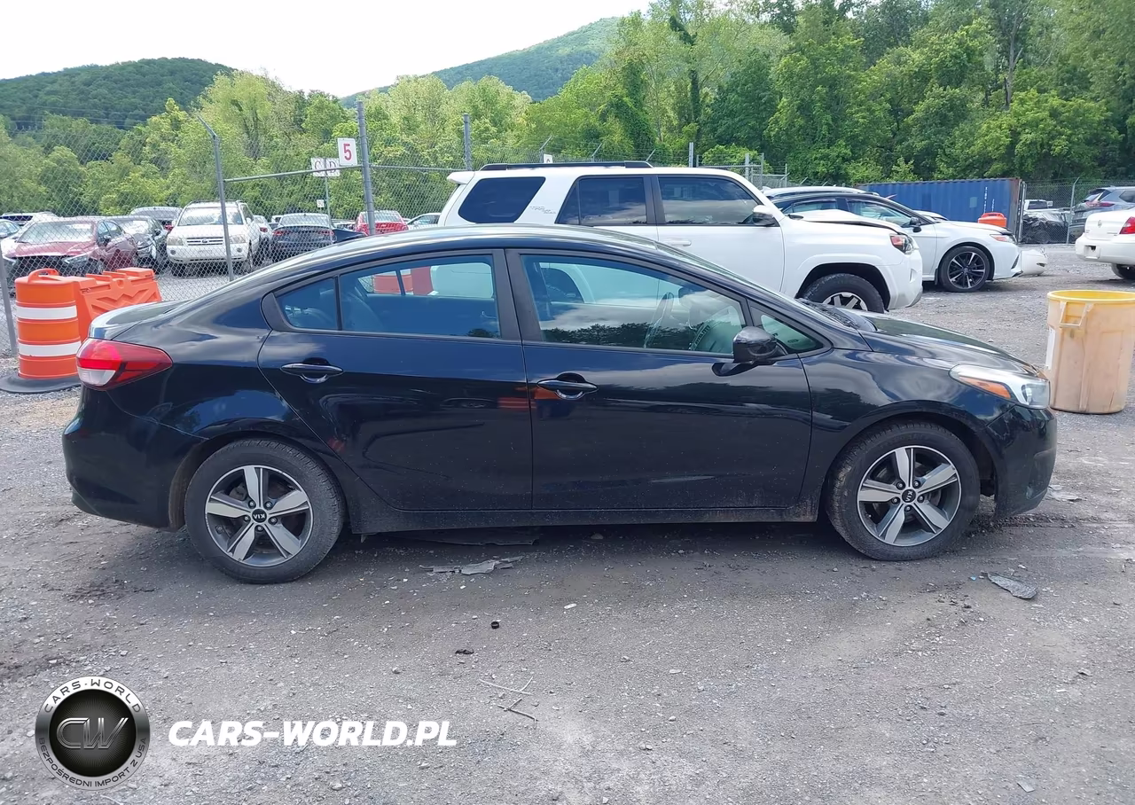 2018 Kia Forte Lx VIN:3KPFL4A76JE172966 - 13