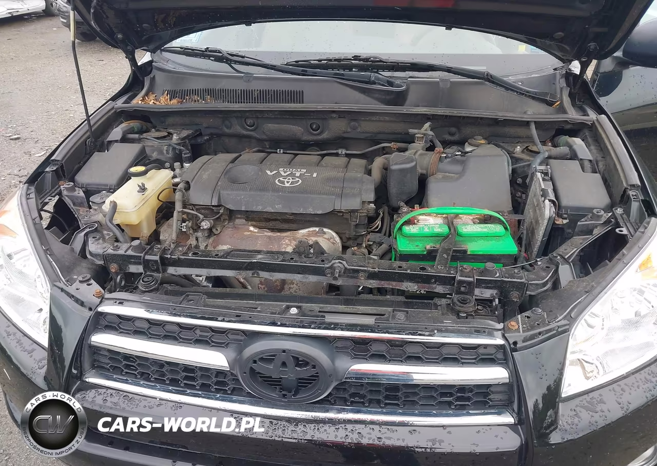 2009 Toyota Rav4 VIN:JTMBF33V89D020244 - 10