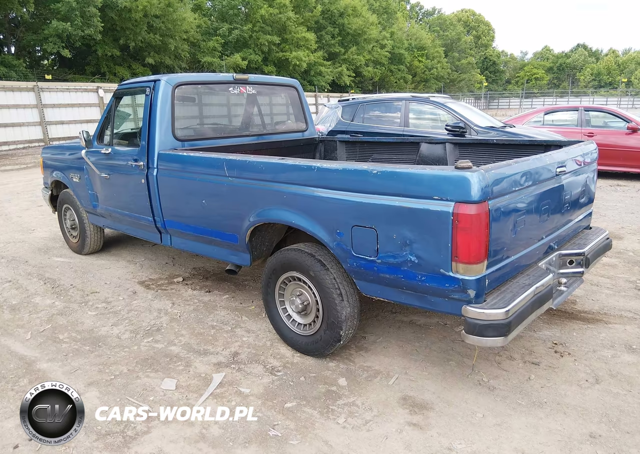 1990 Ford F150 VIN:1FTEF15N6LNA56112 - 3