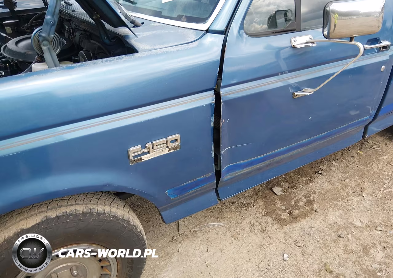 1990 Ford F150 VIN:1FTEF15N6LNA56112 - 6