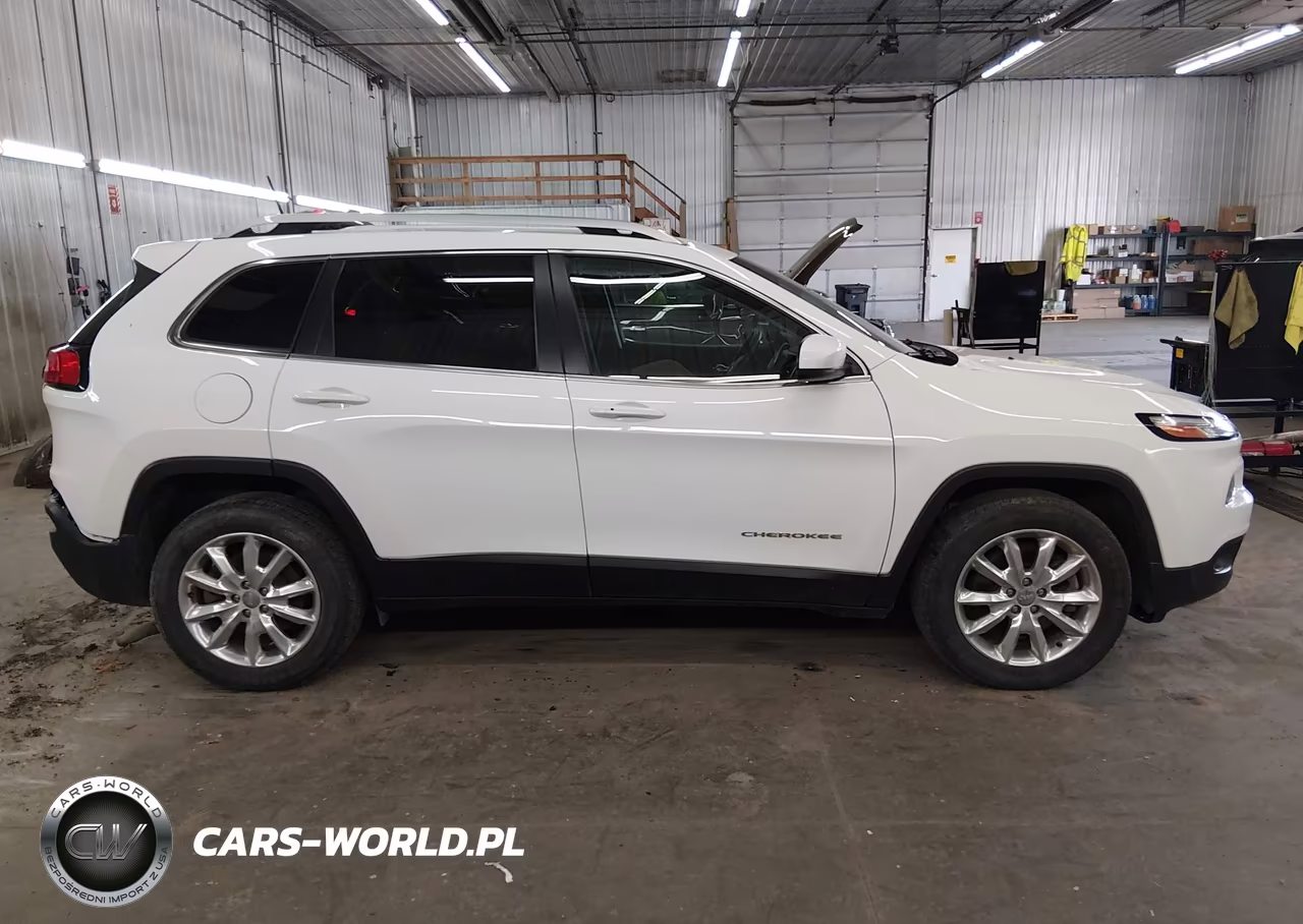 2017 Jeep Cherokee Limited 4X4 VIN:1C4PJMDS5HW613173 - 14