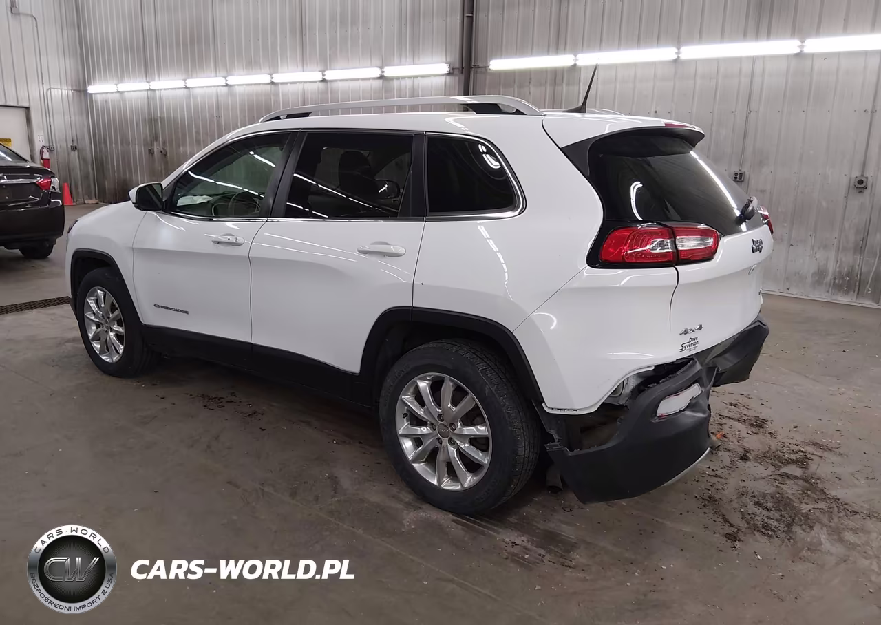 2017 Jeep Cherokee Limited 4X4 VIN:1C4PJMDS5HW613173 - 3