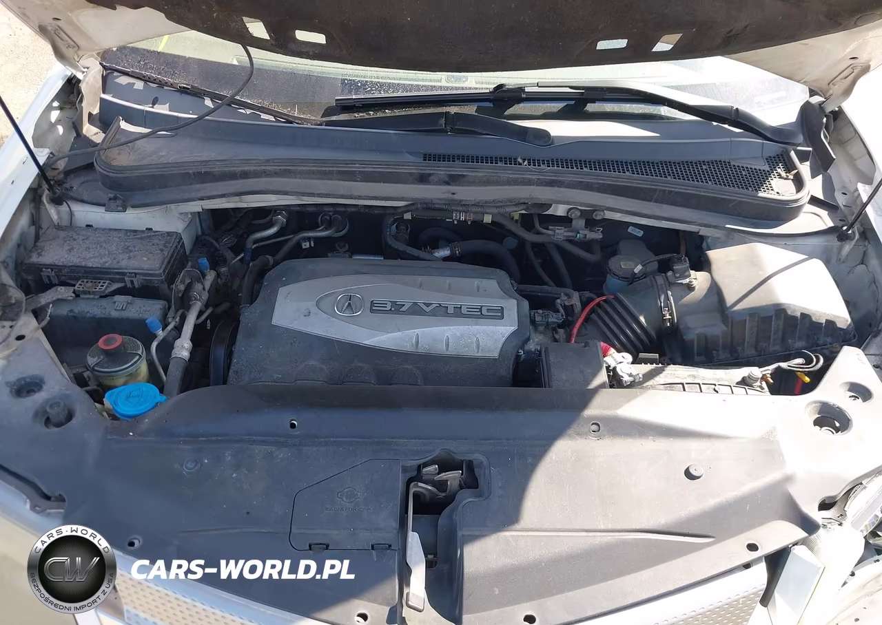 2009 Acura Mdx Technology Package VIN:2HNYD28689H505489 - 10