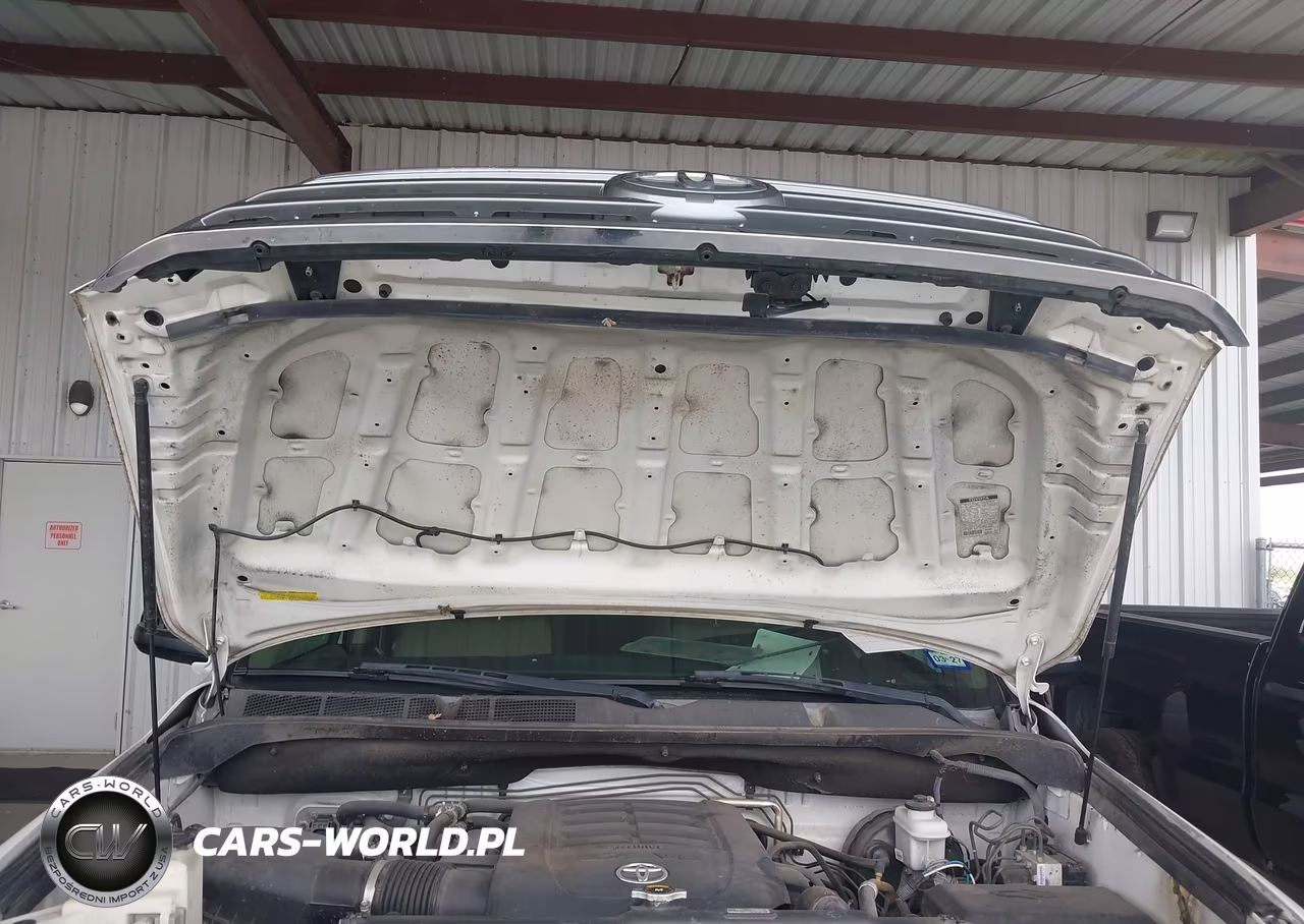 2014 Toyota Sequoia Platinum 5.7L V8 VIN:5TDYY5G12ES055139 - 10