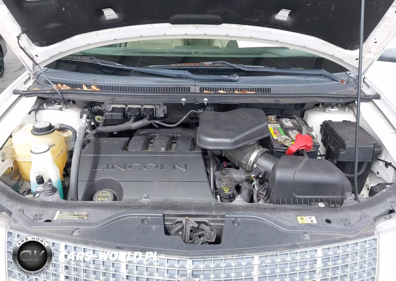 2008 Lincoln Mkx VIN:2LMDU88C88BJ00974 - 10