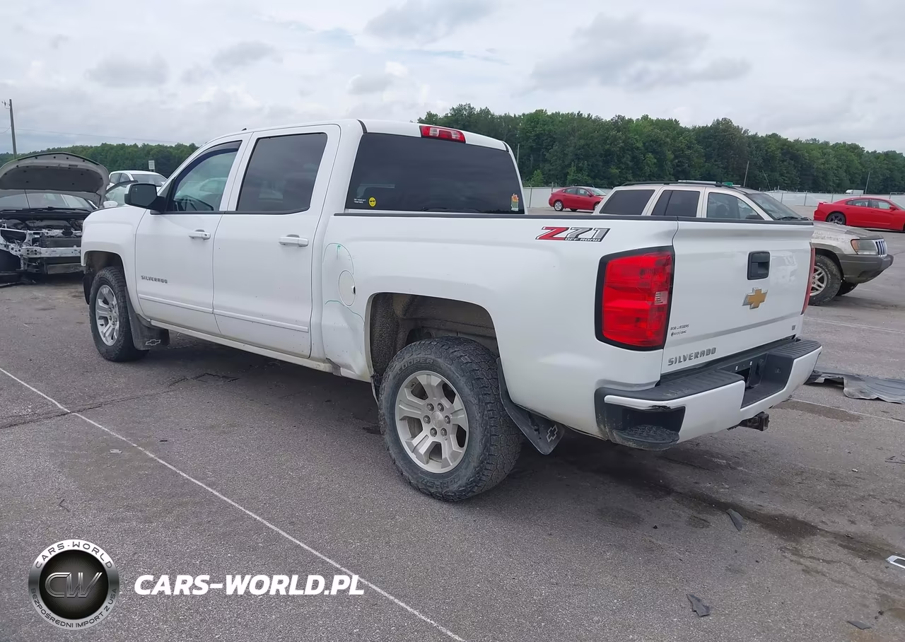 2018 Chevrolet Silverado 1500 2Lt VIN:3GCUKREC6JG119784 - 3