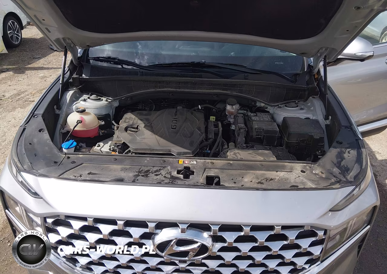 2023 Hyundai Santa Fe Sel VIN:5NMS3DAJ8PH628607 - 10