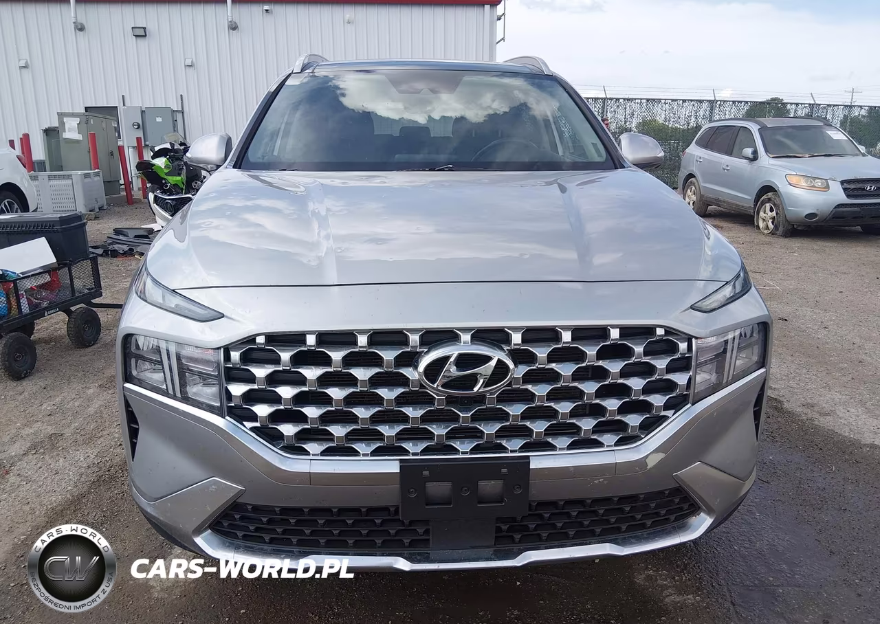 2023 Hyundai Santa Fe Sel VIN:5NMS3DAJ8PH628607 - 12