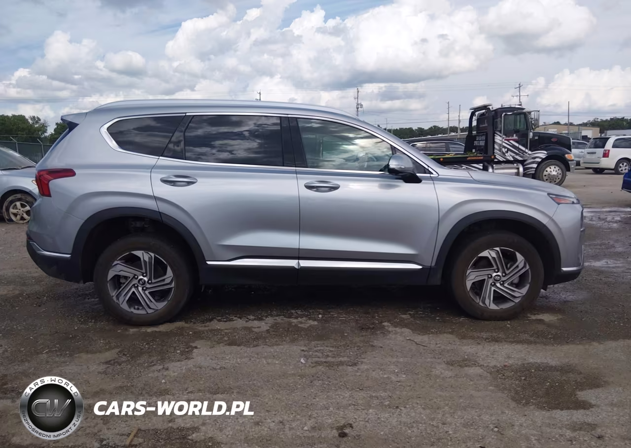 2023 Hyundai Santa Fe Sel VIN:5NMS3DAJ8PH628607 - 13