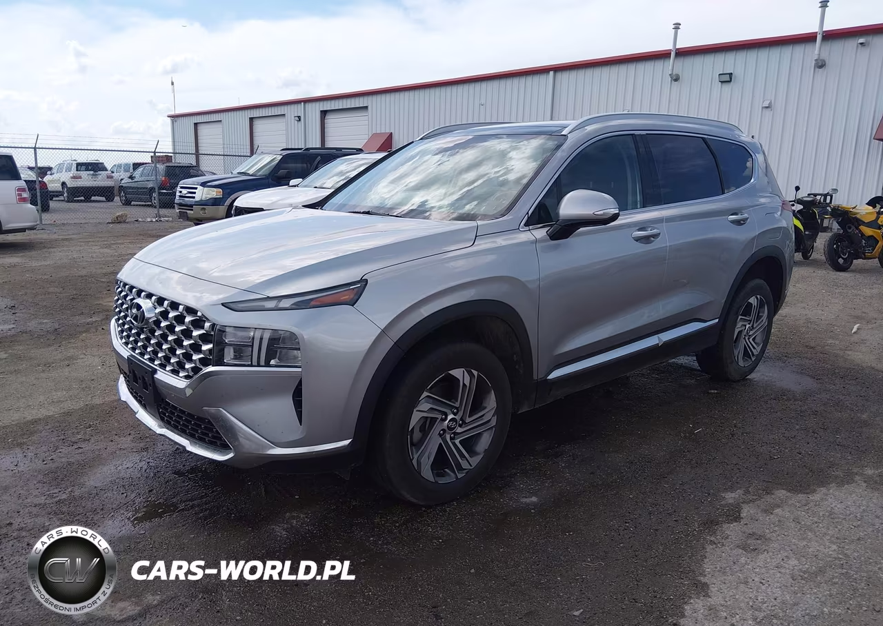 2023 Hyundai Santa Fe Sel VIN:5NMS3DAJ8PH628607 - 2