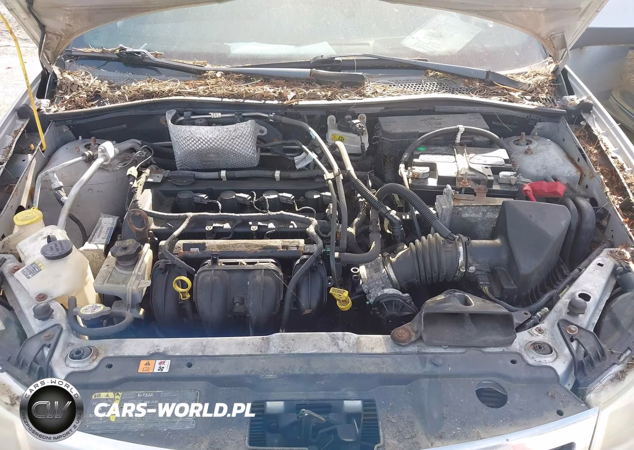 2009 Ford Focus Ses VIN:1FAHP36N29W183341 - 10
