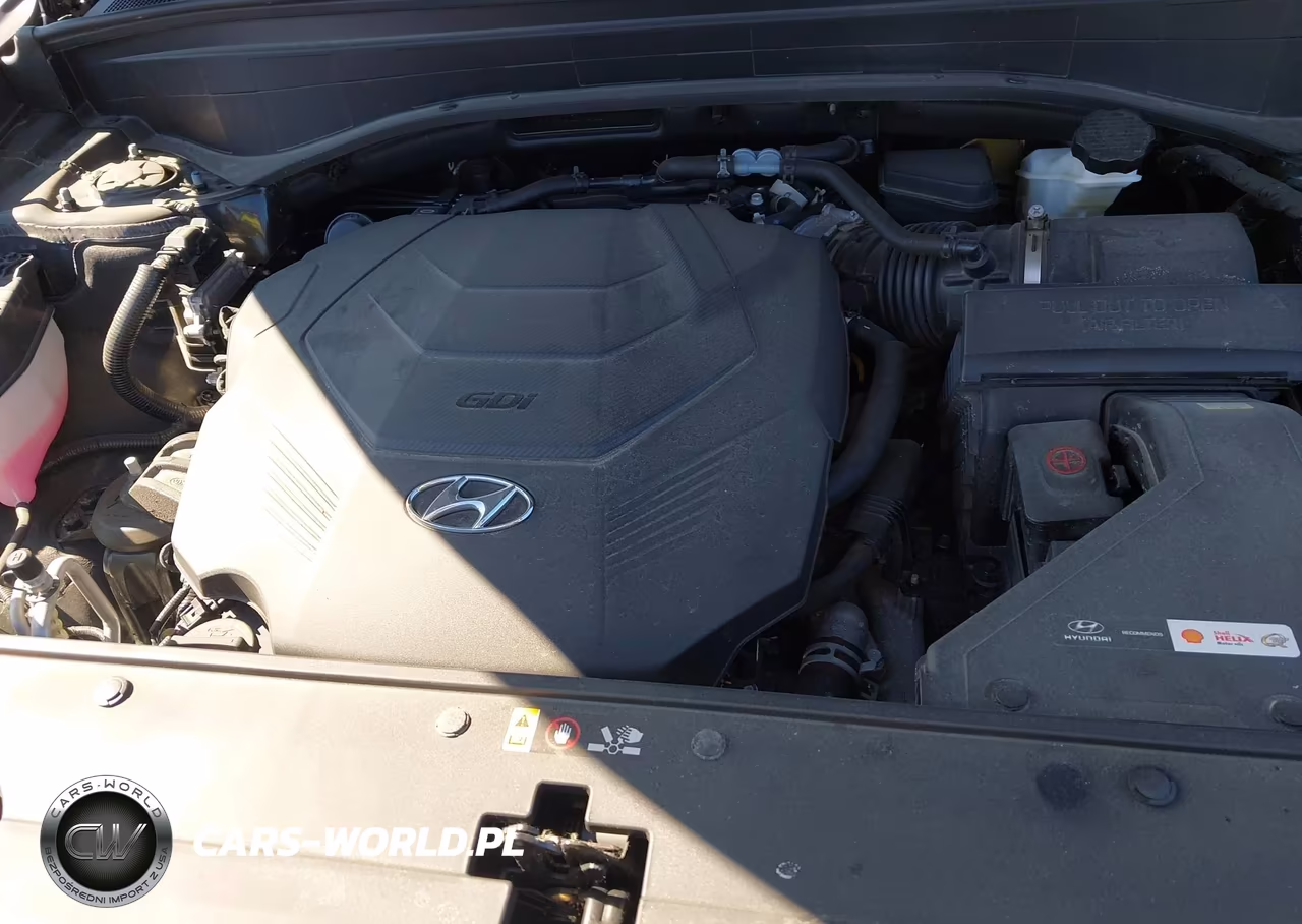 2025 Hyundai Palisade Xrt VIN:KM8R3DGE2SU945952 - 10