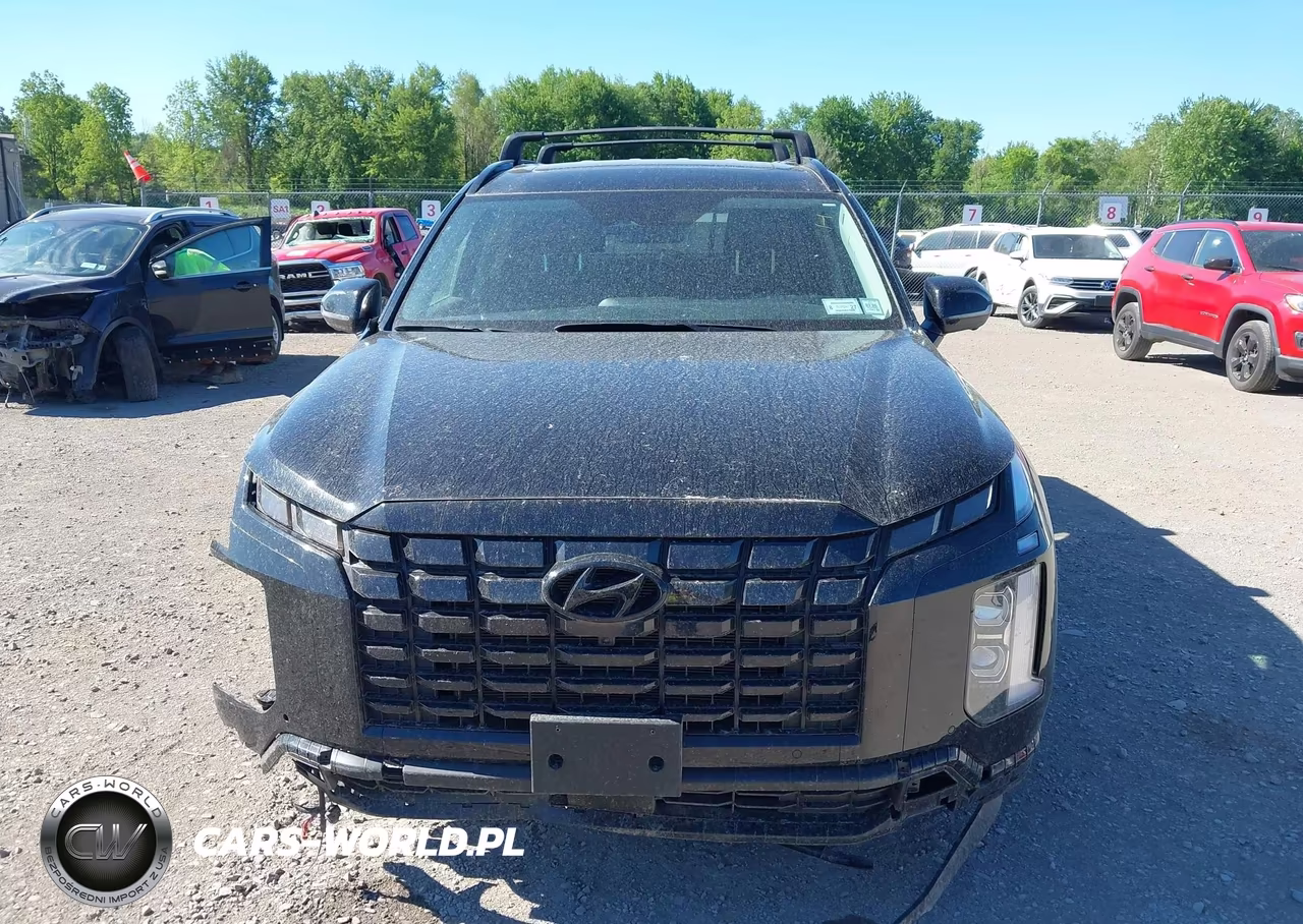 2025 Hyundai Palisade Xrt VIN:KM8R3DGE2SU945952 - 12