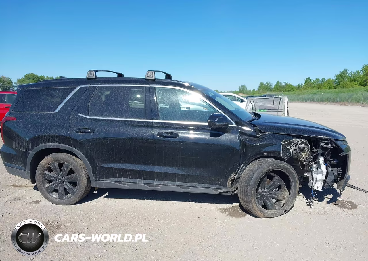 2025 Hyundai Palisade Xrt VIN:KM8R3DGE2SU945952 - 13