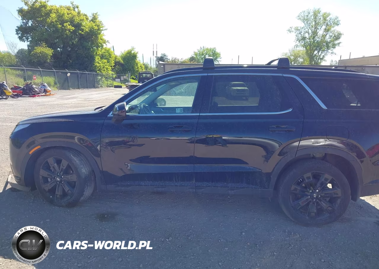 2025 Hyundai Palisade Xrt VIN:KM8R3DGE2SU945952 - 14