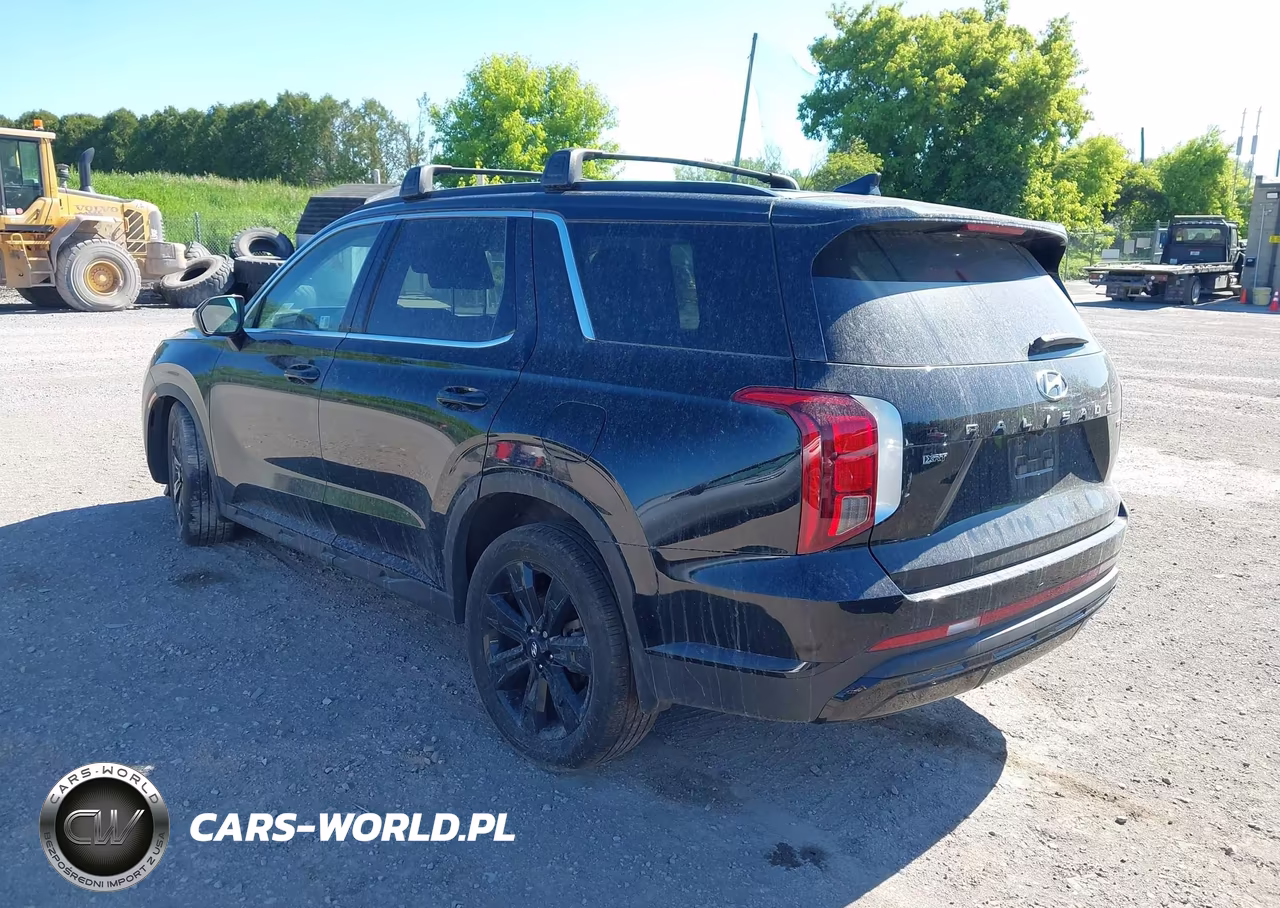 2025 Hyundai Palisade Xrt VIN:KM8R3DGE2SU945952 - 3