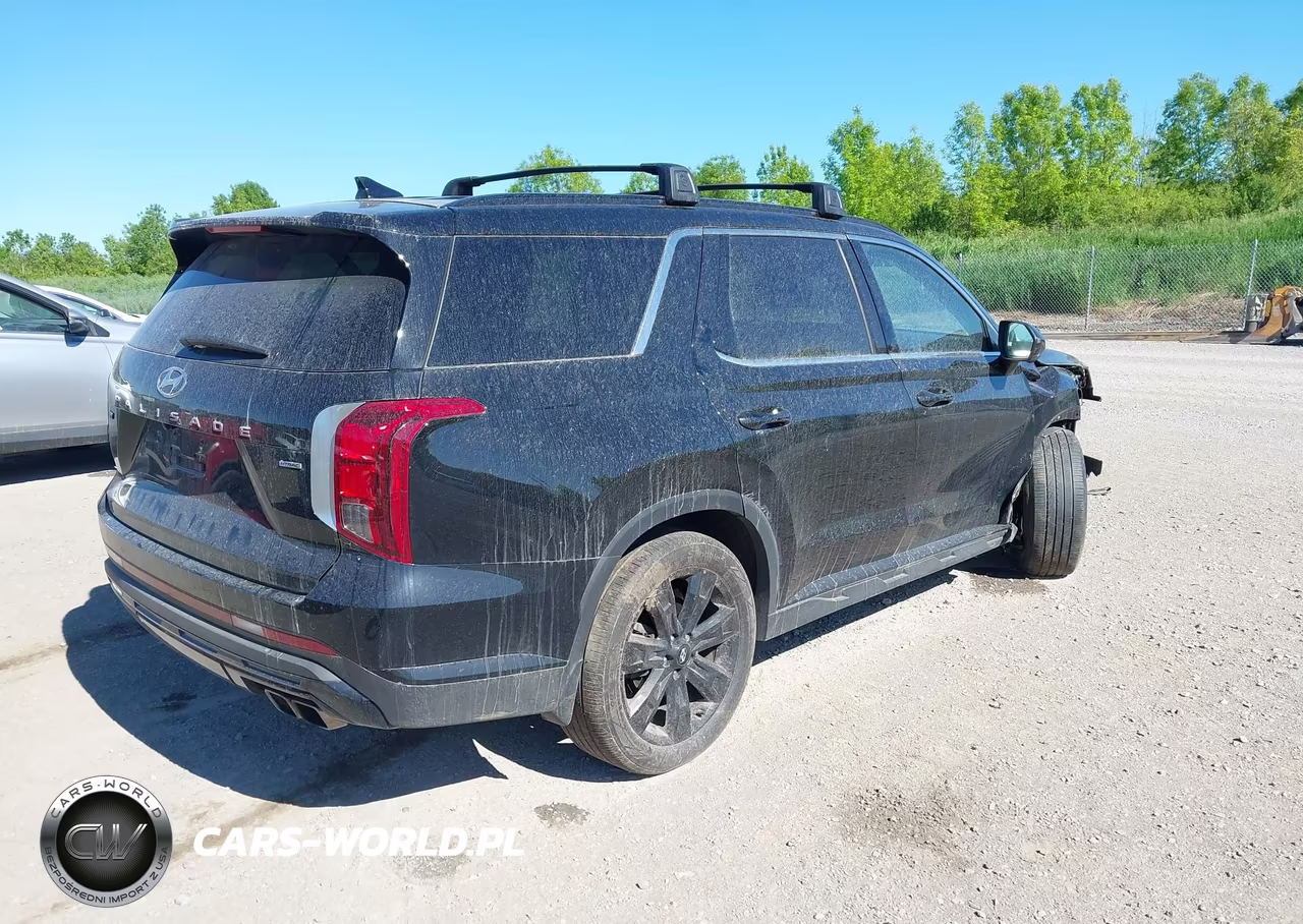 2025 Hyundai Palisade Xrt VIN:KM8R3DGE2SU945952 - 4