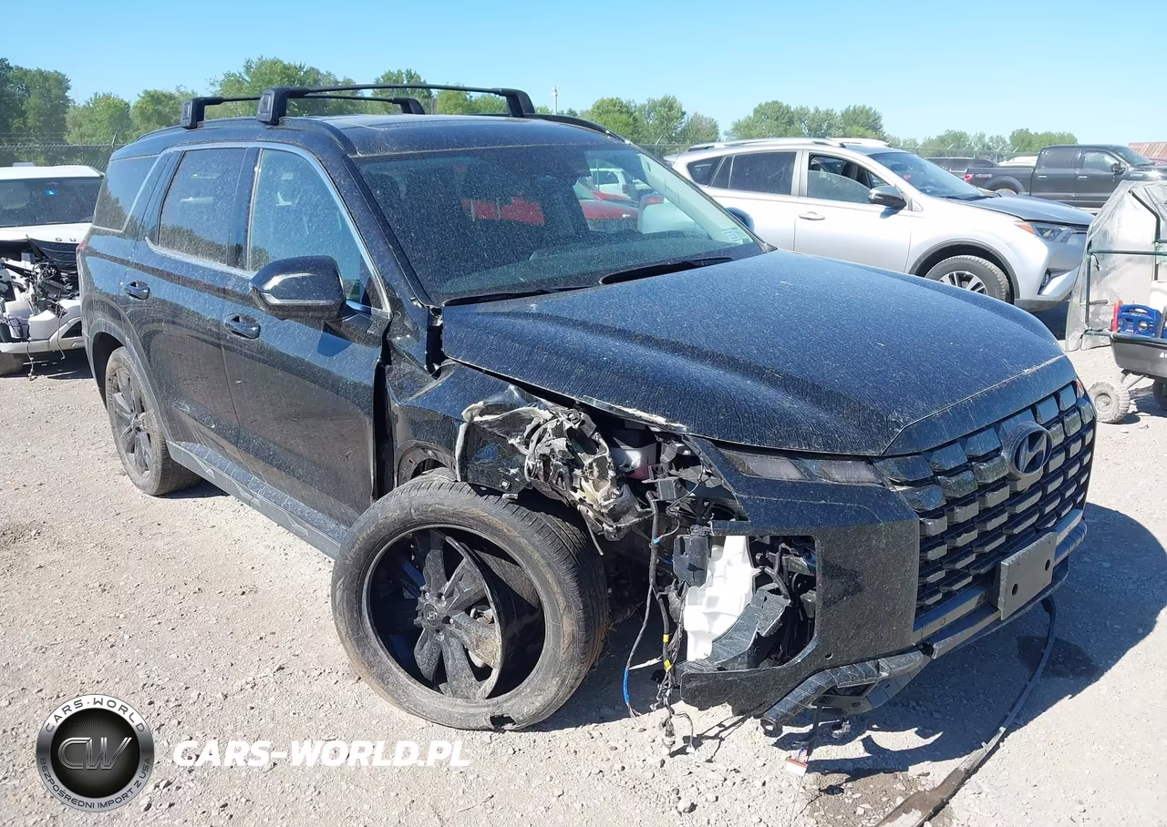 2025 Hyundai Palisade Xrt VIN:KM8R3DGE2SU945952 - 6