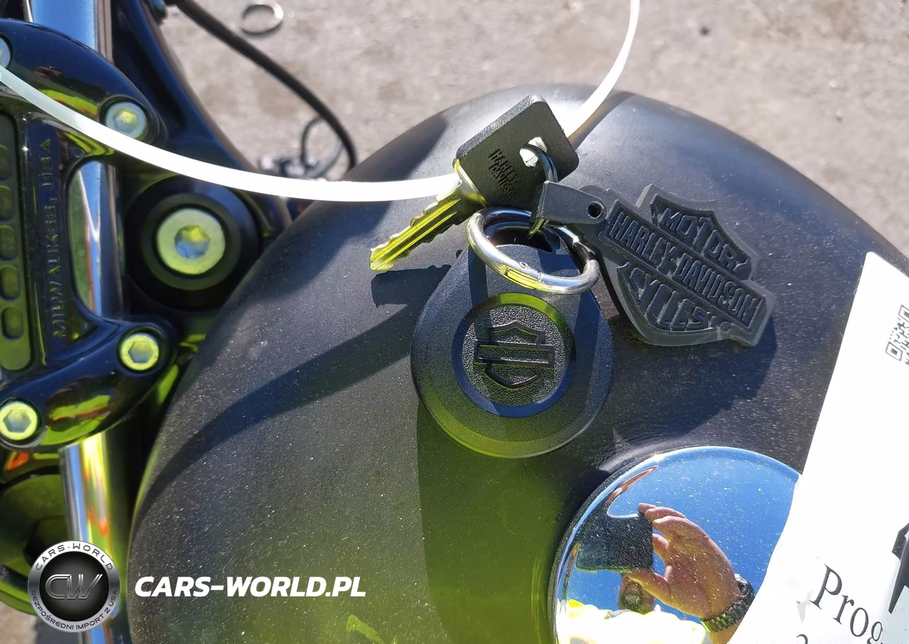 2019 Harley-Davidson Xl1200 Cx VIN:1HD1LM313KC427048 - 11