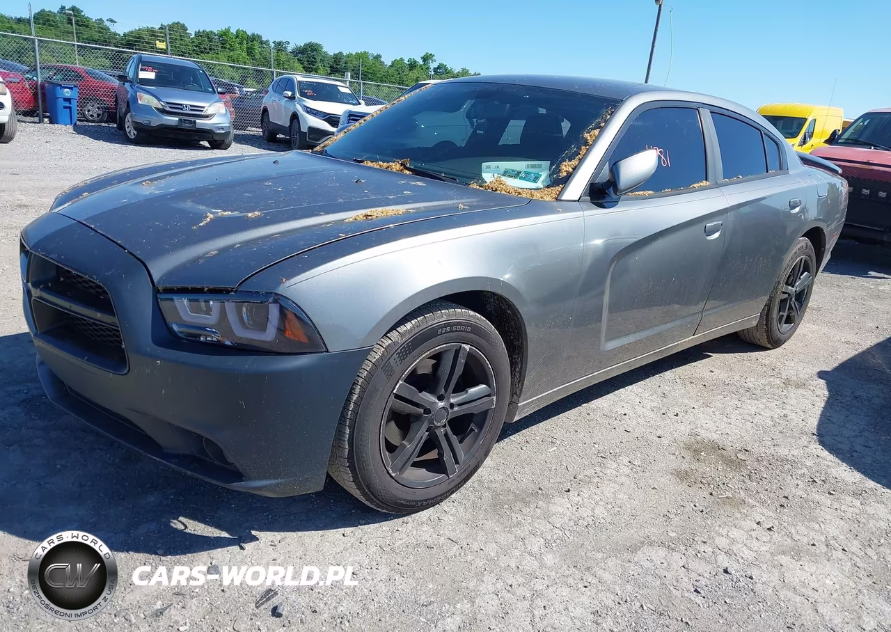 2011 Dodge Charger VIN:2B3CL3CG4BH505411 - 2