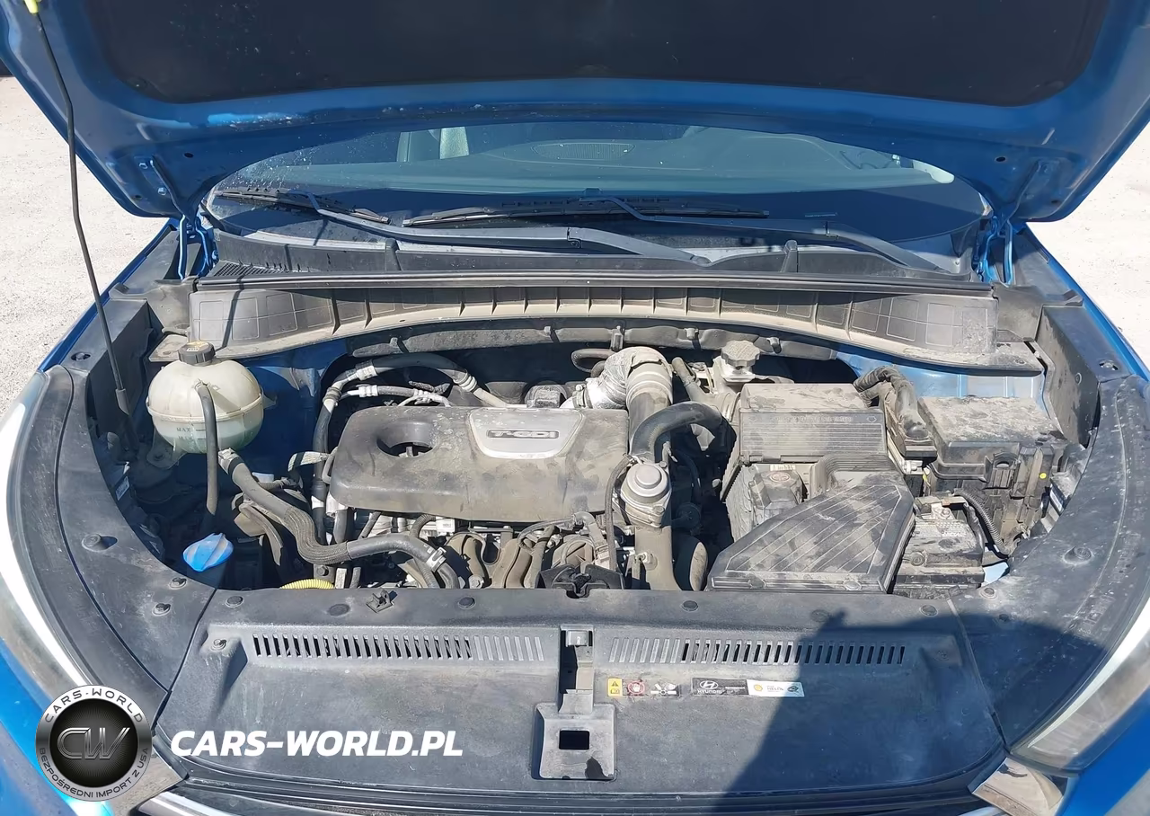 2017 Hyundai Tucson Limited VIN:KM8J33A21HU320098 - 10