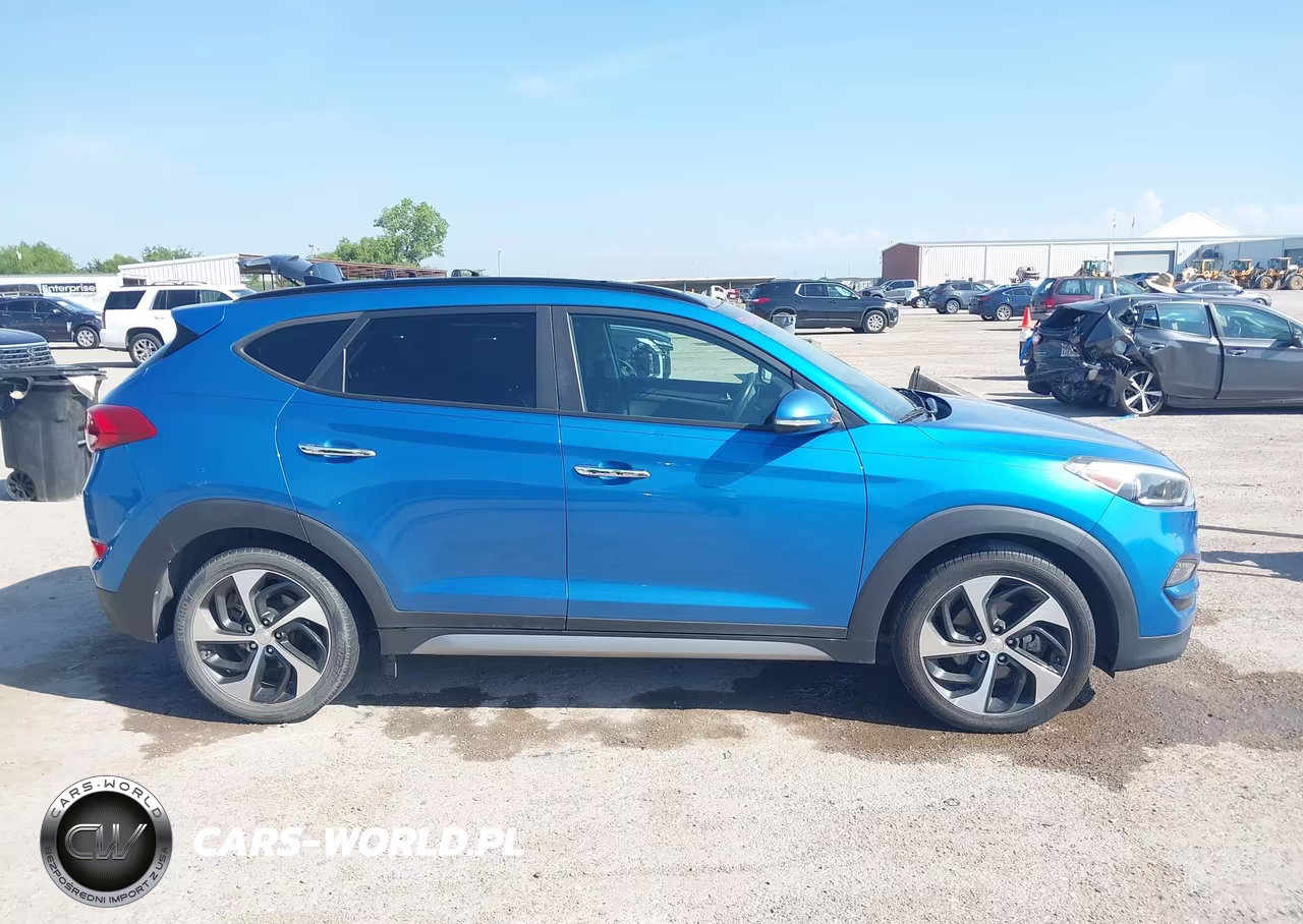 2017 Hyundai Tucson Limited VIN:KM8J33A21HU320098 - 13