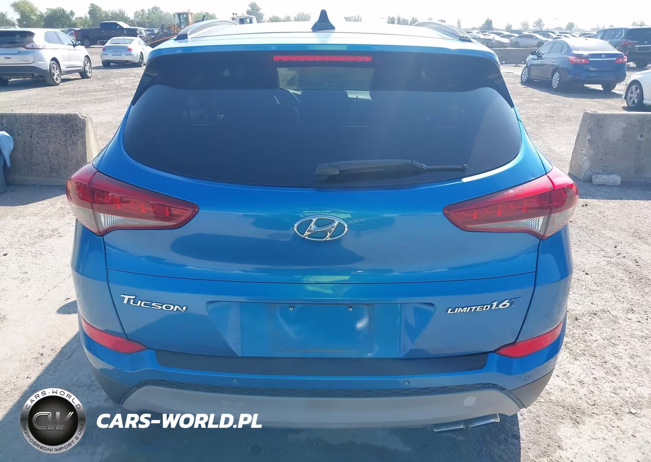 2017 Hyundai Tucson Limited VIN:KM8J33A21HU320098 - 16