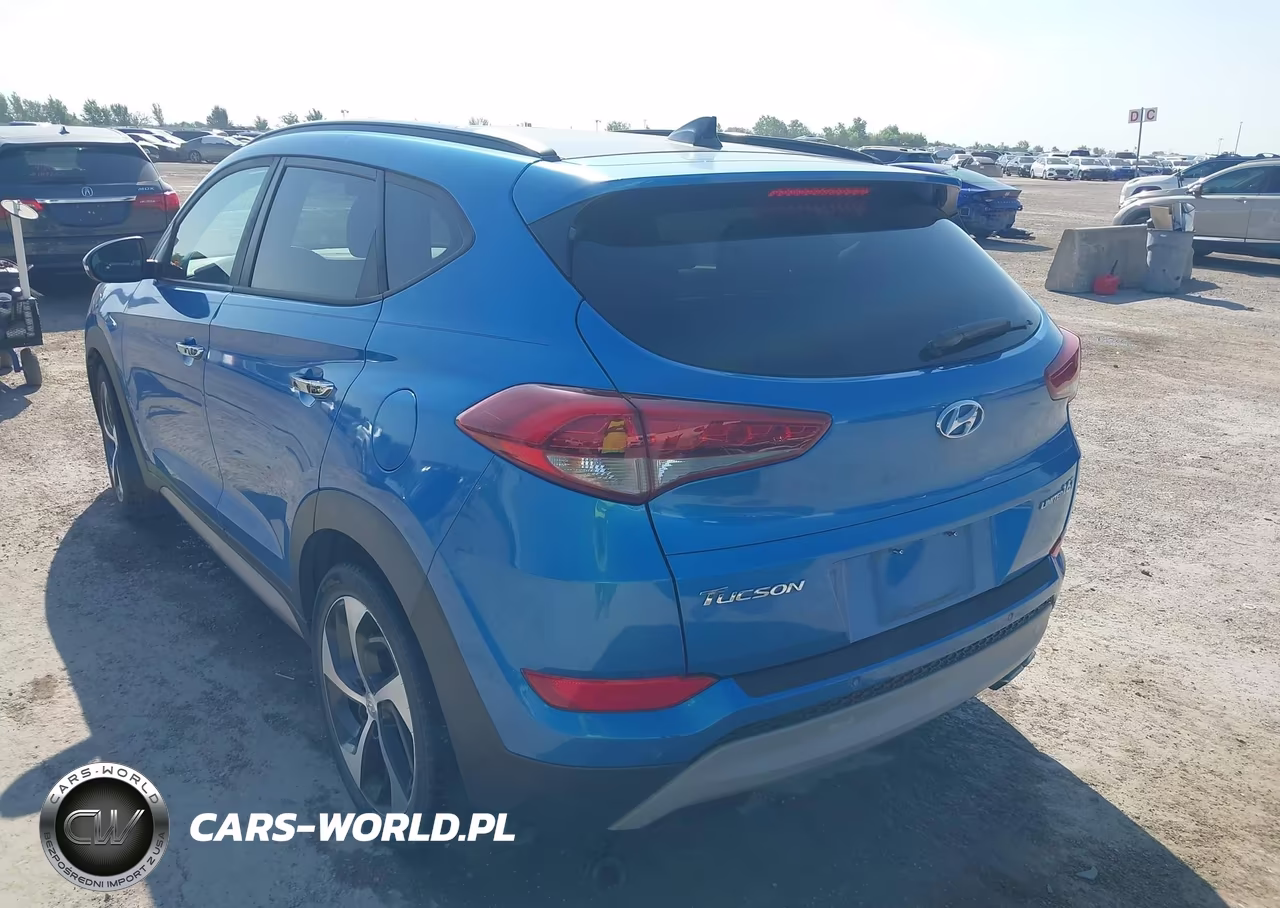 2017 Hyundai Tucson Limited VIN:KM8J33A21HU320098 - 3