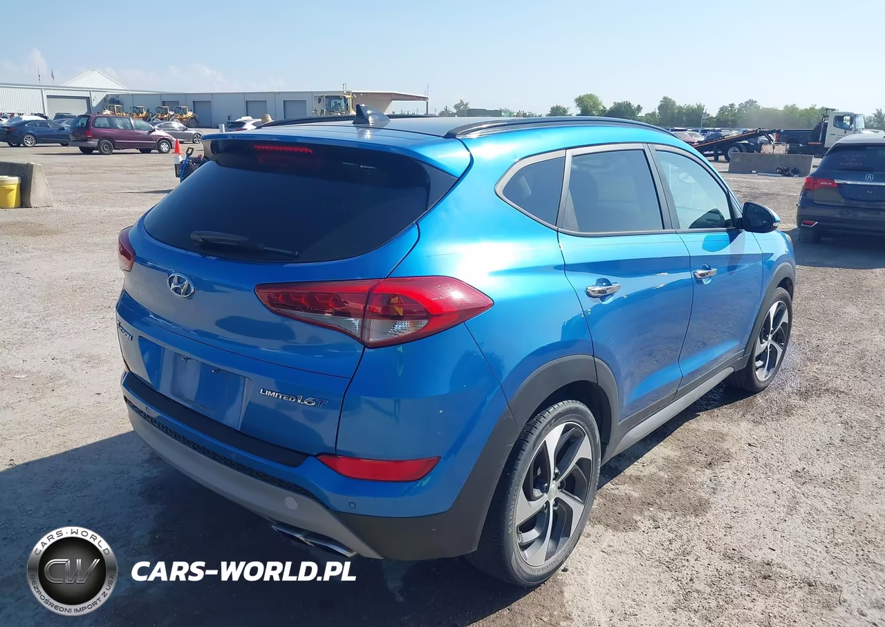 2017 Hyundai Tucson Limited VIN:KM8J33A21HU320098 - 4