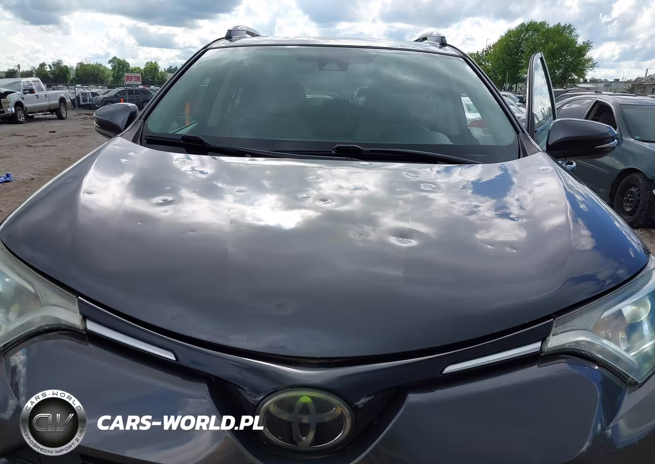 2018 Toyota Rav4 Xle VIN:2T3RFREV4JW704164 - 6