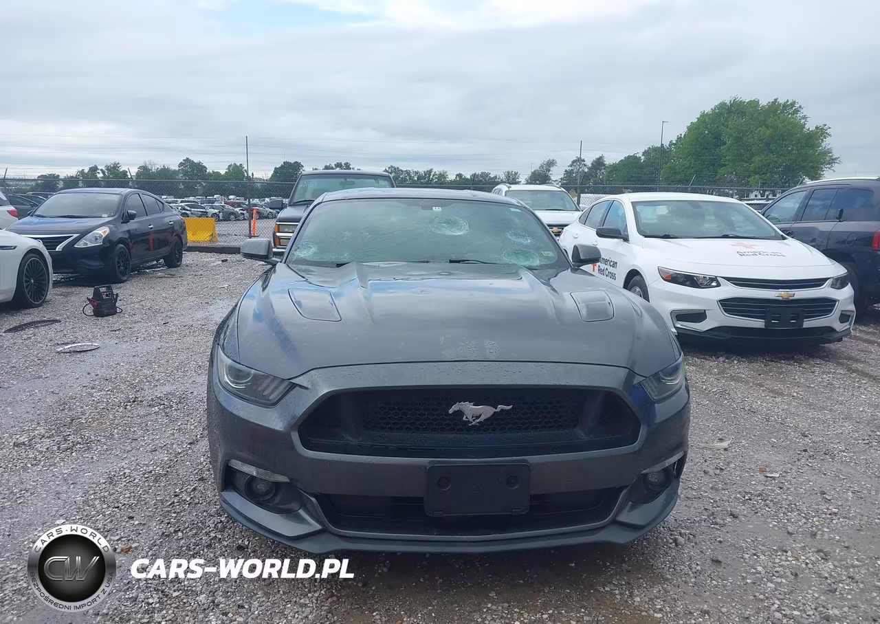 2015 Ford Mustang Gt Premium VIN:1FA6P8CF4F5305331 - 12