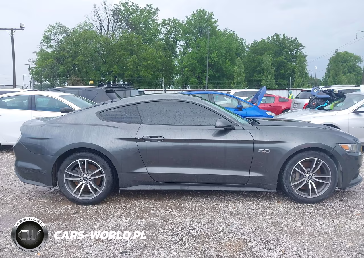 2015 Ford Mustang Gt Premium VIN:1FA6P8CF4F5305331 - 13