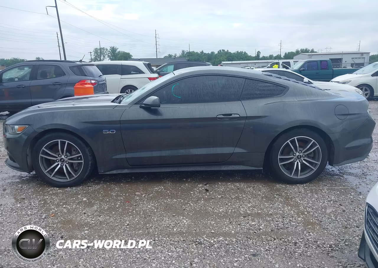 2015 Ford Mustang Gt Premium VIN:1FA6P8CF4F5305331 - 14