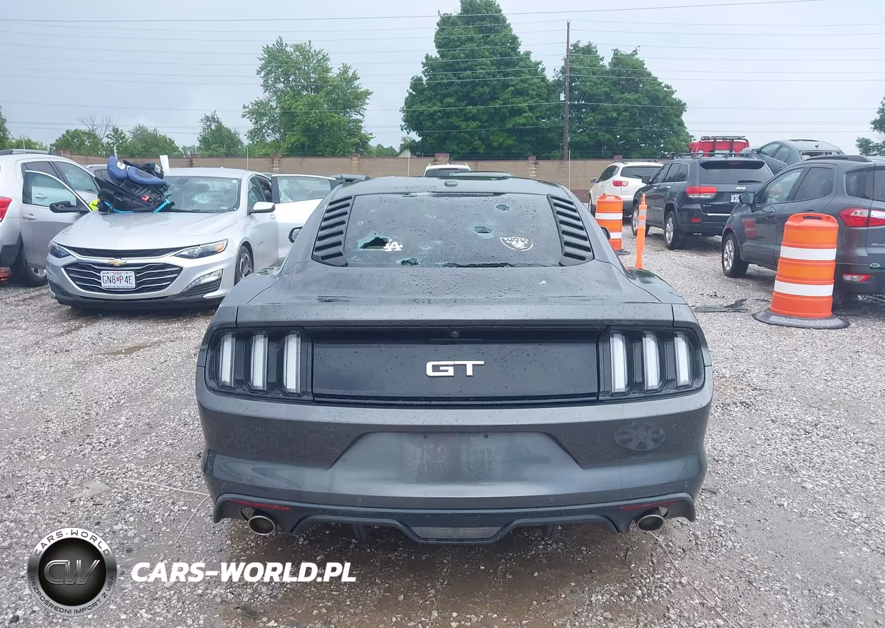 2015 Ford Mustang Gt Premium VIN:1FA6P8CF4F5305331 - 16