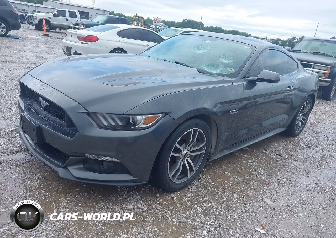 2015 Ford Mustang Gt Premium VIN:1FA6P8CF4F5305331 - 2
