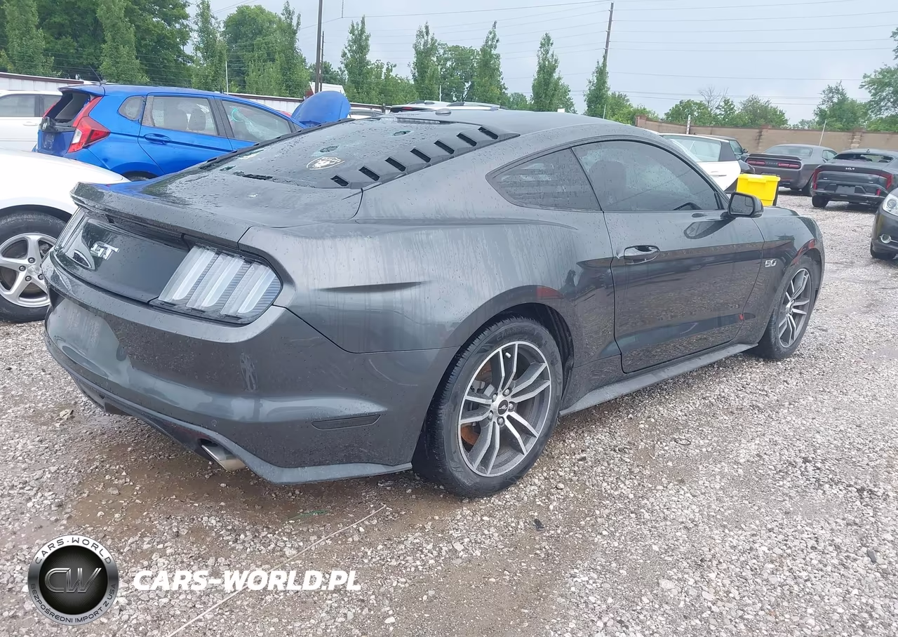 2015 Ford Mustang Gt Premium VIN:1FA6P8CF4F5305331 - 4