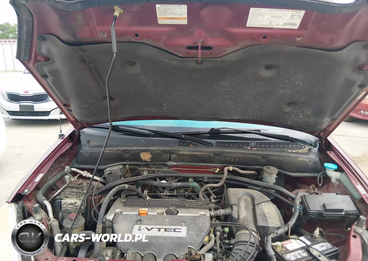 2004 Honda Cr-V Ex VIN:JHLRD78884C043832 - 10